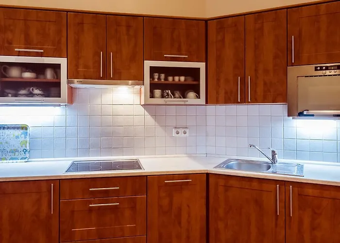 Appartement Vodickova 11 *