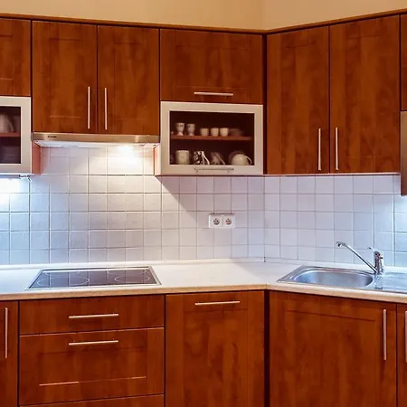 Apartment Vodickova 11 *