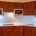 Apartman Vodickova 11 *